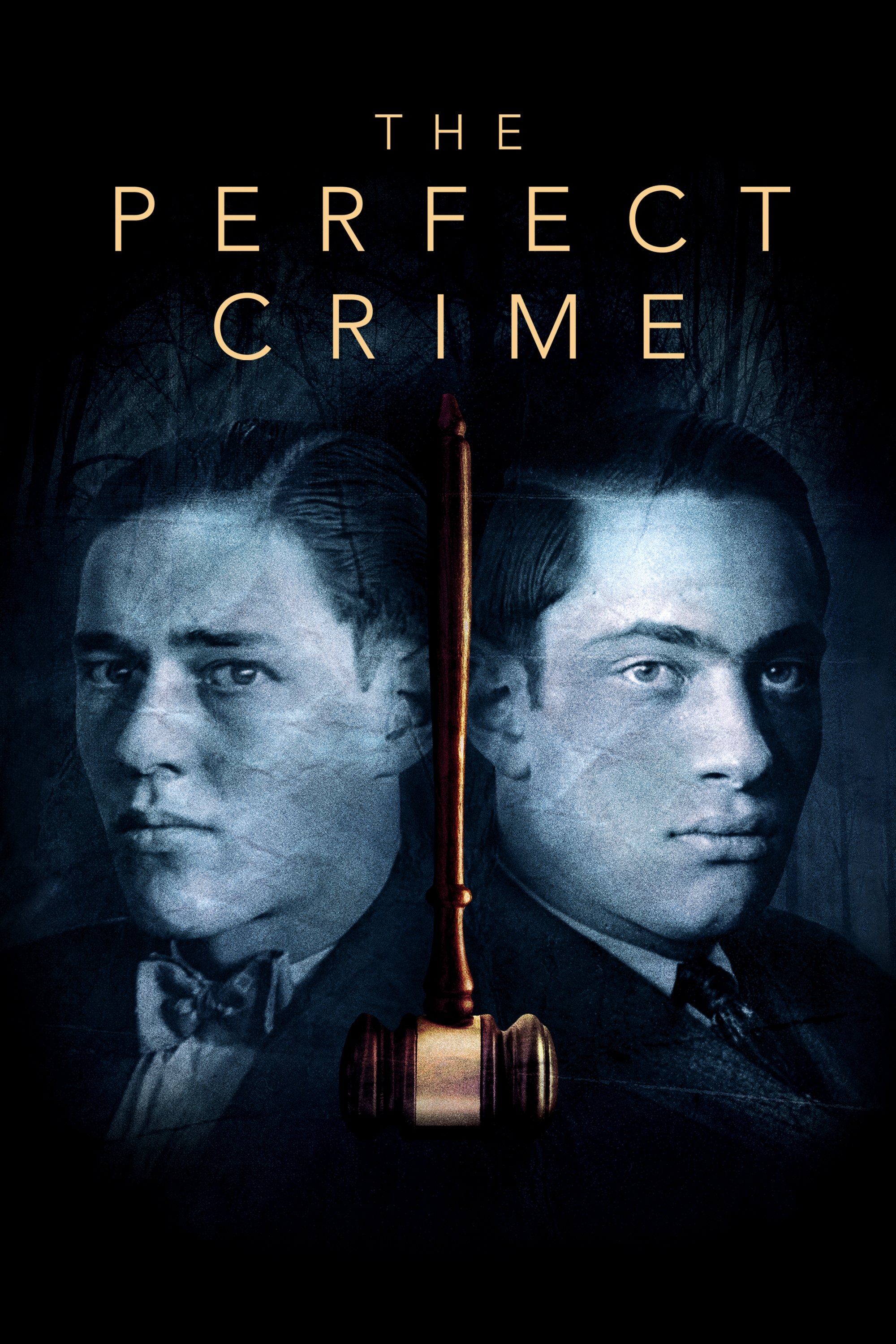 Постер The Perfect Crime: Leopold & Loeb